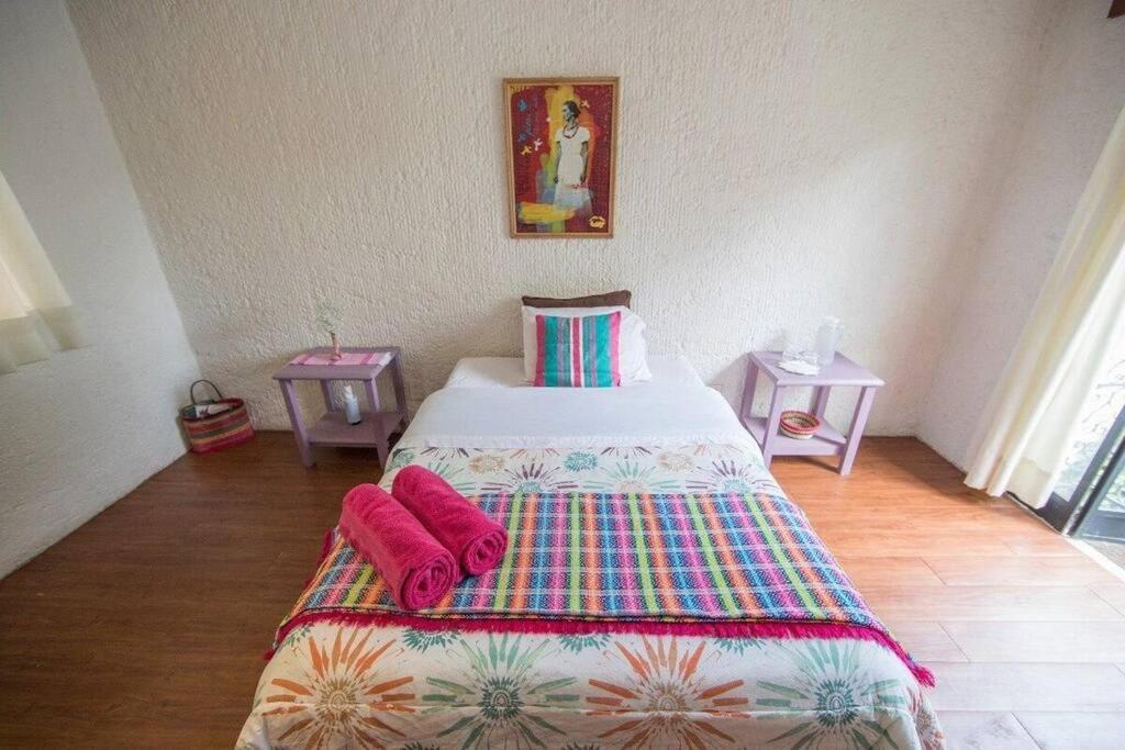 מקסיקו סיטי Villa Casa Ayvar. Espectacular Villa Colonial En El Corazon De Coyoacan. מראה חיצוני תמונה