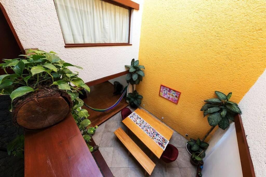 מקסיקו סיטי Villa Casa Ayvar. Espectacular Villa Colonial En El Corazon De Coyoacan. מראה חיצוני תמונה
